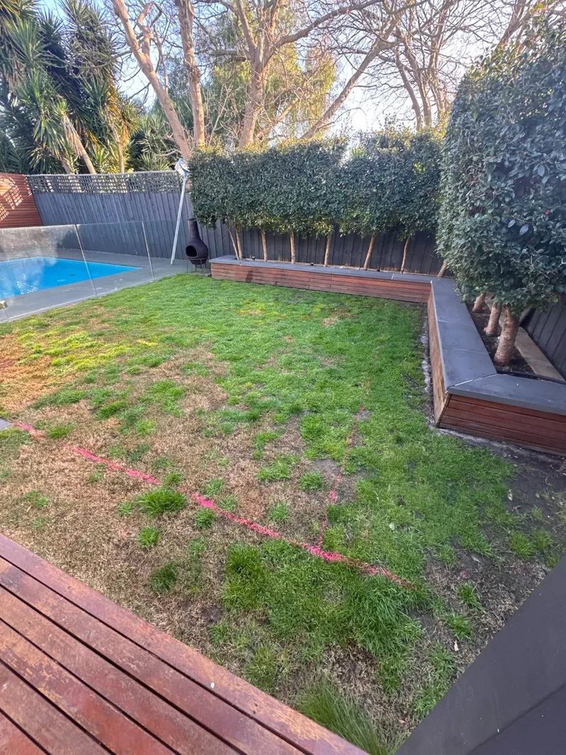 Before: patchy lawn, marked out by Antonio PrimeScape Construction