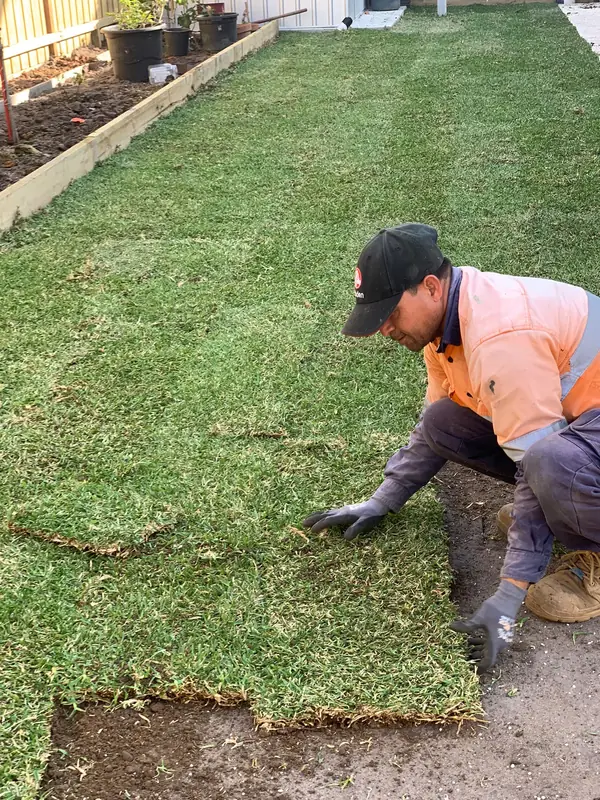 Crew member laying rolls of instant turf