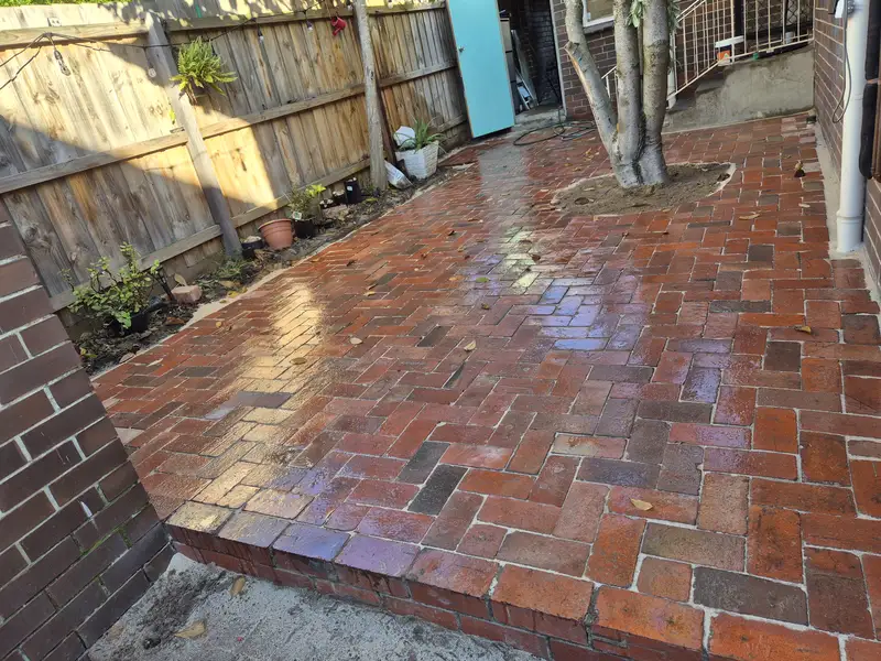 Finished recycled red brick courtyard paved around established trees, Melbourne